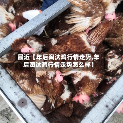最近【年后淘汰鸡行情走势,年后淘汰鸡行情走势怎么样】
