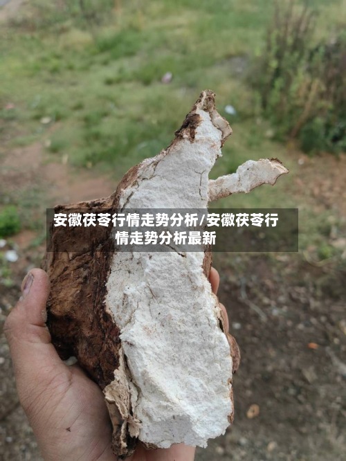 安徽茯苓行情走势分析/安徽茯苓行情走势分析最新-第2张图片