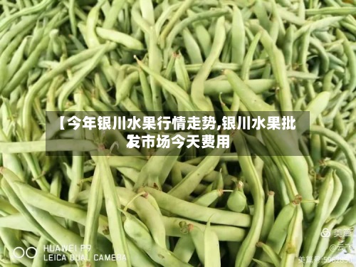 【今年银川水果行情走势,银川水果批发市场今天费用
】-第3张图片