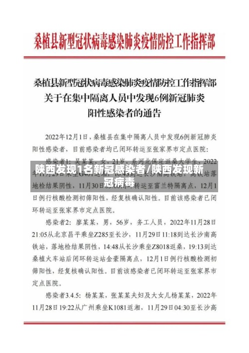 陕西发现1名新冠感染者/陕西发现新冠病毒-第2张图片
