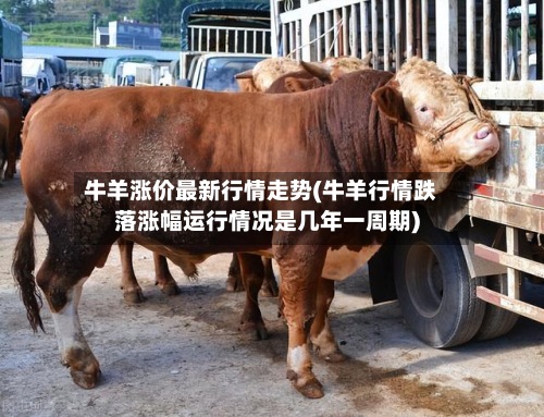 牛羊涨价最新行情走势(牛羊行情跌落涨幅运行情况是几年一周期)