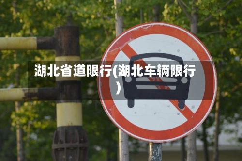 湖北省道限行(湖北车辆限行)