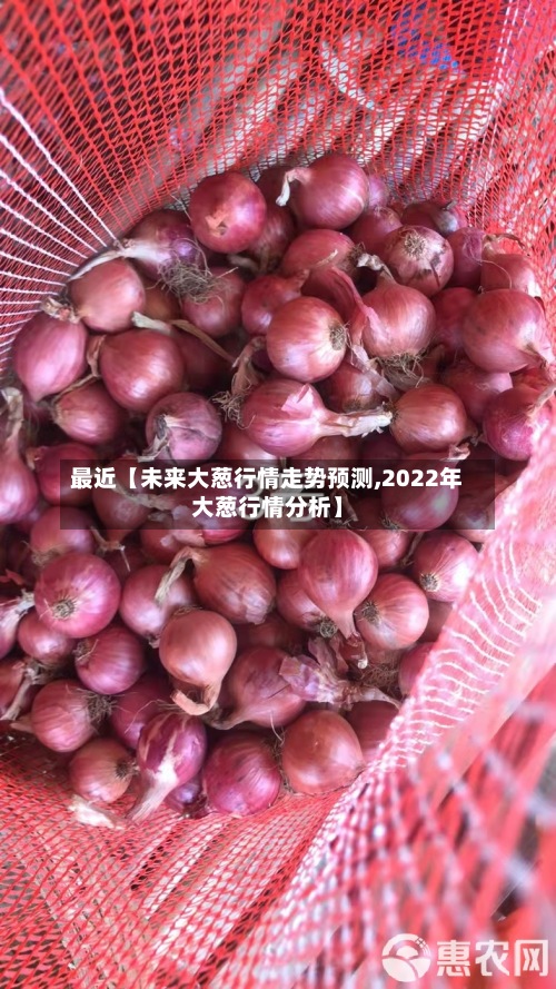 最近【未来大葱行情走势预测,2022年大葱行情分析】