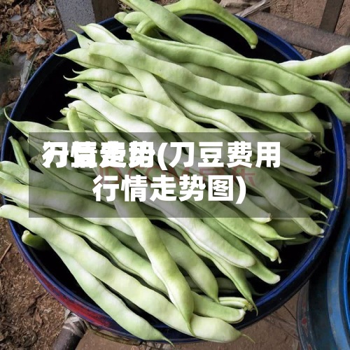 刀豆费用行情走势(刀豆费用行情走势图)