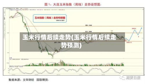 玉米行情后续走势(玉米行情后续走势预测)