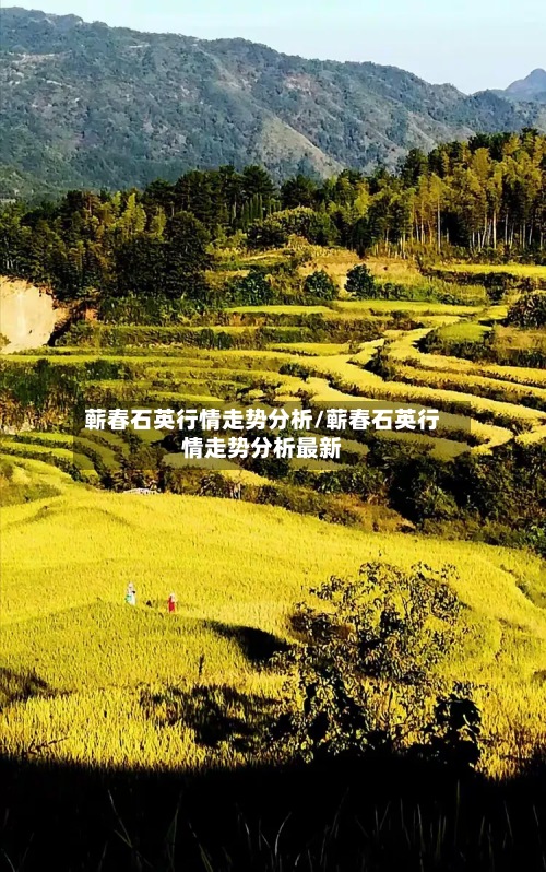 蕲春石英行情走势分析/蕲春石英行情走势分析最新-第3张图片