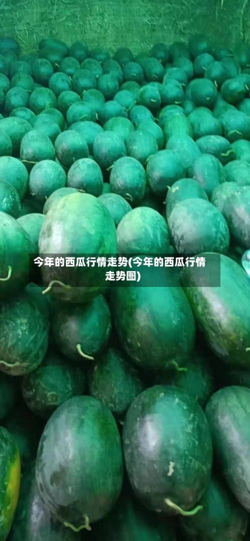 今年的西瓜行情走势(今年的西瓜行情走势图)-第3张图片