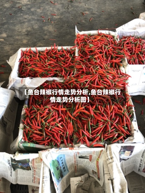 【鱼台辣椒行情走势分析,鱼台辣椒行情走势分析图】