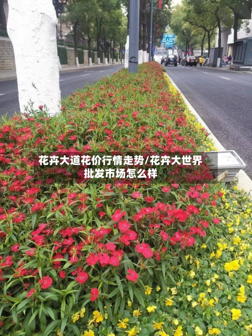 花卉大道花价行情走势/花卉大世界批发市场怎么样-第2张图片