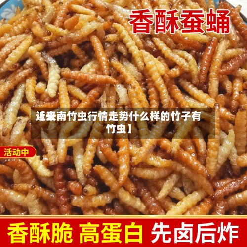 近来
【云南竹虫行情走势什么样的竹子有竹虫】-第2张图片