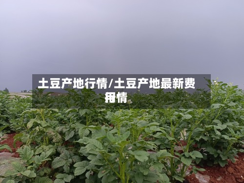 土豆产地行情/土豆产地最新费用
行情-第3张图片