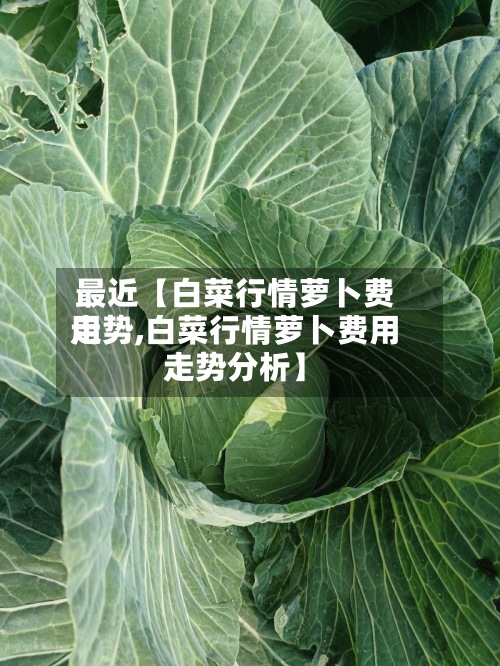 最近【白菜行情萝卜费用
走势,白菜行情萝卜费用
走势分析】