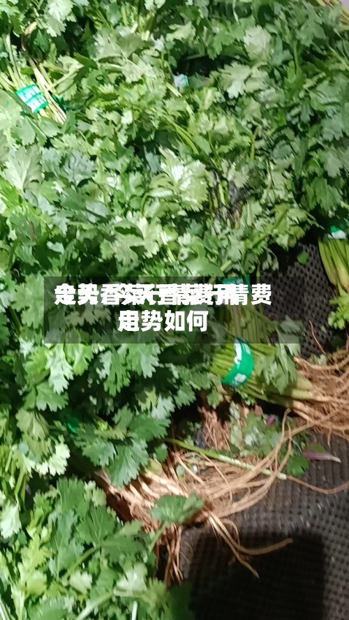 今天香菜行情费用
走势/今天香菜行情费用
走势如何