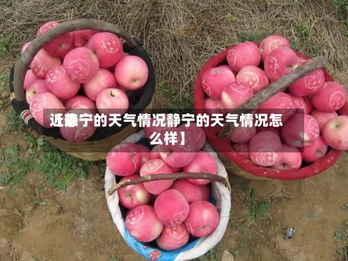 近来【静宁的天气情况静宁的天气情况怎么样】