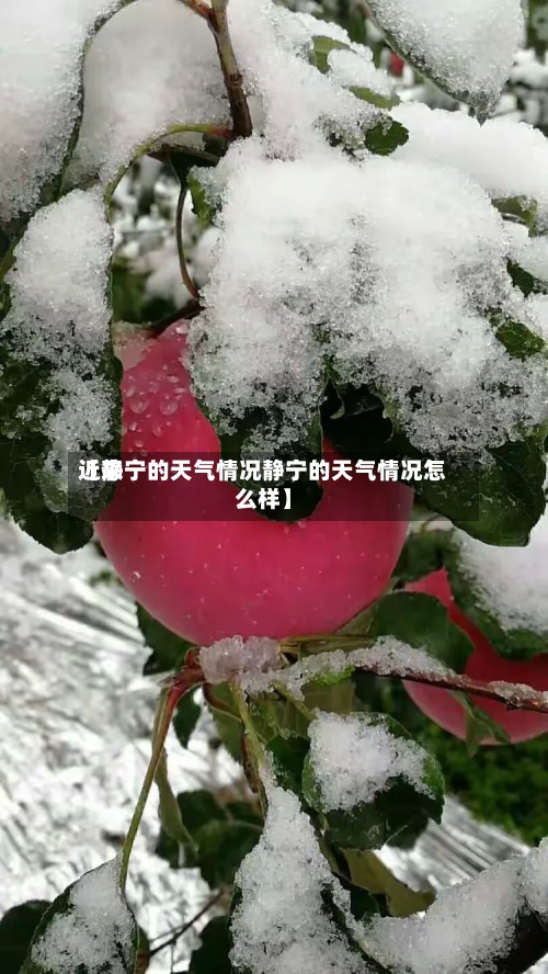 近来
【静宁的天气情况静宁的天气情况怎么样】-第2张图片
