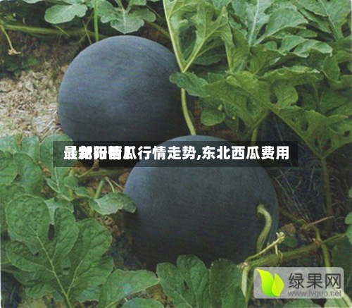 【龙阳西瓜行情走势,东北西瓜费用
最新行情】