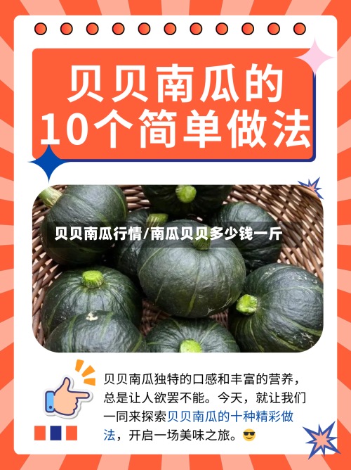 贝贝南瓜行情/南瓜贝贝多少钱一斤-第2张图片