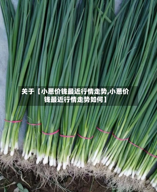 关于【小葱价钱最近行情走势,小葱价钱最近行情走势如何】