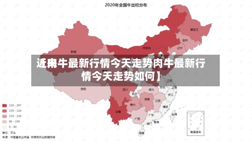 近来【肉牛最新行情今天走势肉牛最新行情今天走势如何】-第2张图片