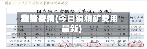精铜费用
走势行情(今日铜精矿费用
最新)