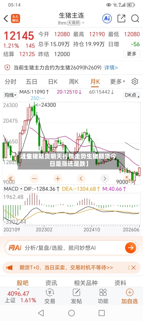 近来【生猪期货明天行情走势生猪期货今日是涨还是跌】