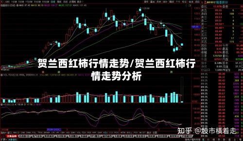 贺兰西红柿行情走势/贺兰西红柿行情走势分析