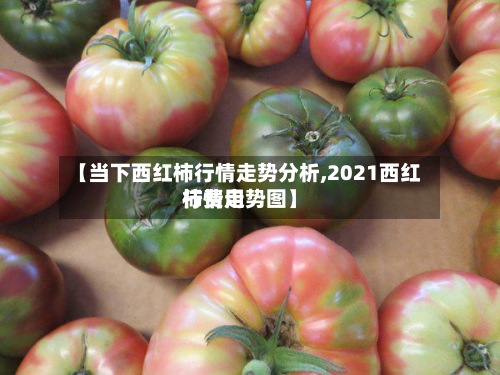 【当下西红柿行情走势分析,2021西红柿费用行情走势图】-第2张图片