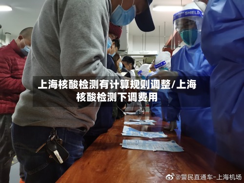 上海核酸检测有计算规则调整/上海核酸检测下调费用-第2张图片