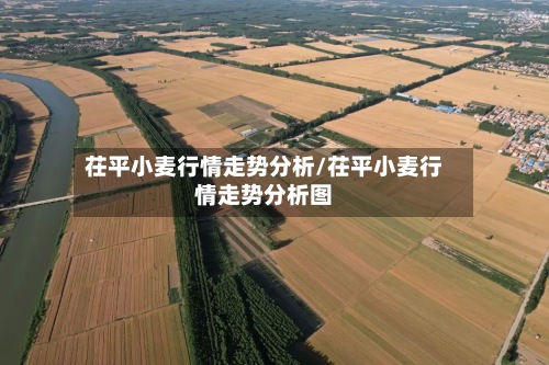 茌平小麦行情走势分析/茌平小麦行情走势分析图