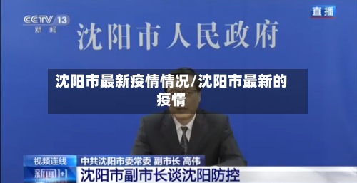 沈阳市最新疫情情况/沈阳市最新的疫情-第3张图片