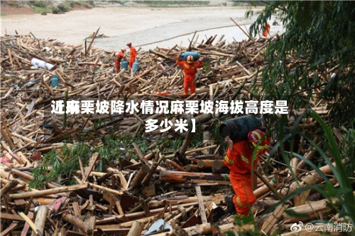 近来【麻栗坡降水情况麻栗坡海拔高度是多少米】-第2张图片