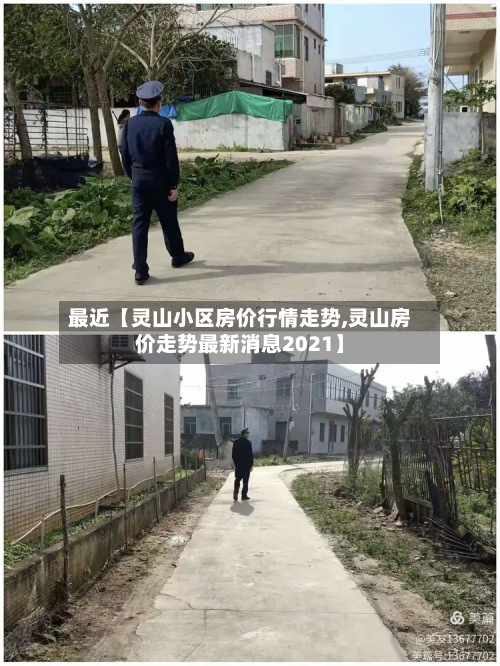 最近【灵山小区房价行情走势,灵山房价走势最新消息2021】-第2张图片