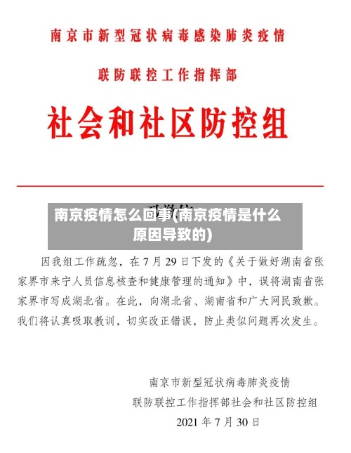 南京疫情怎么回事(南京疫情是什么原因导致的)