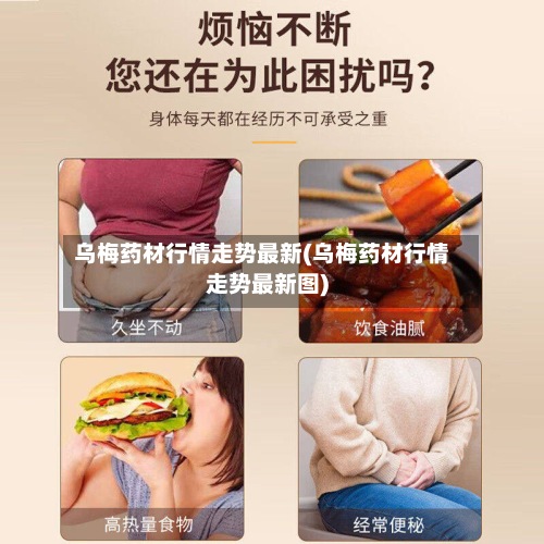 乌梅药材行情走势最新(乌梅药材行情走势最新图)