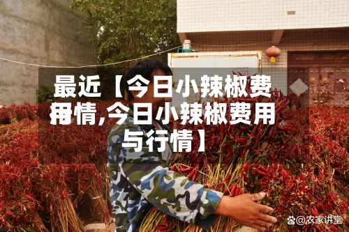 最近【今日小辣椒费用
行情,今日小辣椒费用
与行情】-第2张图片