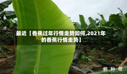 最近【香蕉过年行情走势如何,2021年的香蕉行情走势】-第3张图片