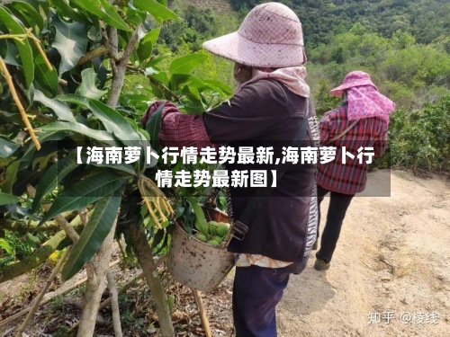 【海南萝卜行情走势最新,海南萝卜行情走势最新图】-第2张图片