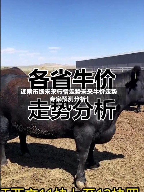 近来
【牛市场未来行情走势未来牛价走势专家预测分析】-第3张图片