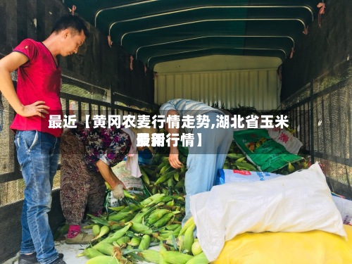 最近【黄冈农麦行情走势,湖北省玉米费用最新行情】-第2张图片