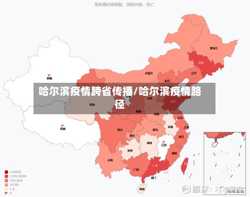 哈尔滨疫情跨省传播/哈尔滨疫情路径