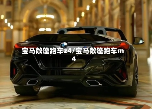 宝马敞篷跑车z4/宝马敞篷跑车m4-第2张图片
