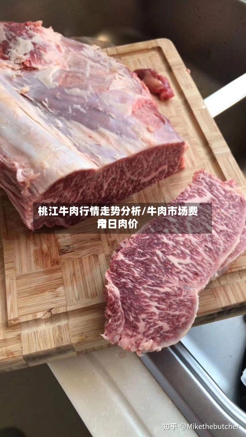 桃江牛肉行情走势分析/牛肉市场费用
今日肉价