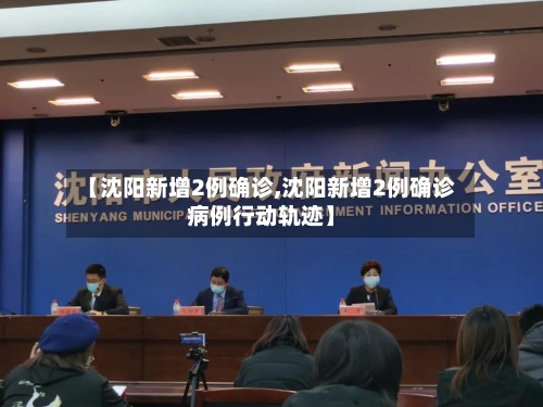 【沈阳新增2例确诊,沈阳新增2例确诊病例行动轨迹】-第2张图片