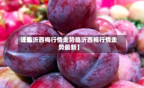 近来【临沂西梅行情走势临沂西梅行情走势最新】
