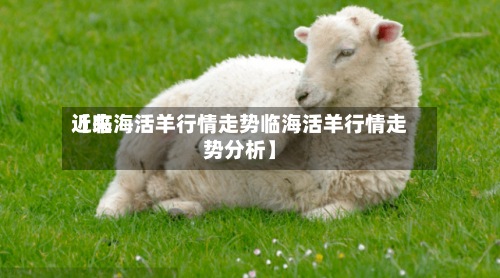 近来【临海活羊行情走势临海活羊行情走势分析】-第2张图片