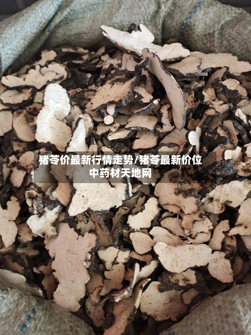 猪苓价最新行情走势/猪苓最新价位中药材天地网-第3张图片