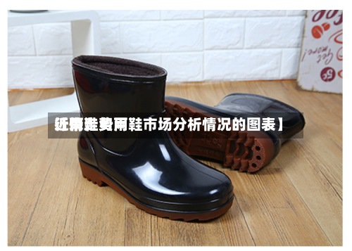 近来
【雨鞋费用
行情走势雨鞋市场分析情况的图表】