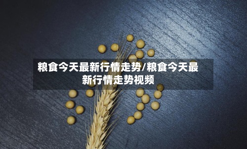 粮食今天最新行情走势/粮食今天最新行情走势视频