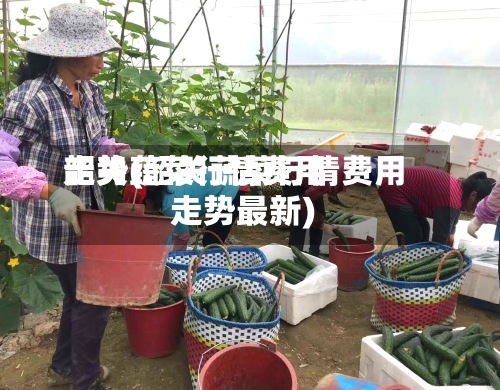 韶关蔬菜行情费用
走势(韶关蔬菜行情费用
走势最新)