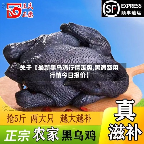 关于【最新黑乌鸡行情走势,黑鸡费用行情今日报价】-第3张图片